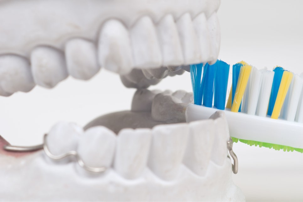 칫솔을 관리해야 하는 이유와 그 방법들 관련 이미지 1