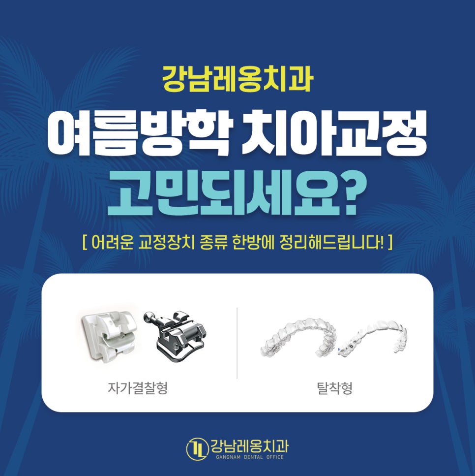 치아교정의 장치&종류&특징에 대해 알아봐요! 강남레옹치과와 함께 관련 이미지 1