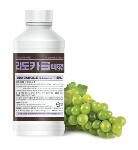 치과 마취 무섭다면? 무통마취 수면마취 치과 / 강남치과 강남레옹치과 관련 이미지 5