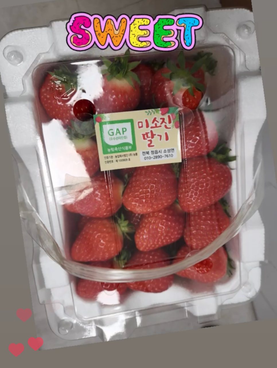 강남레옹치과의 4월, 행복한 일상 관련 이미지 5