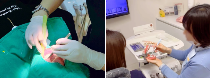 강남역 스케일링 맛집 / 치석 제거와 잇몸 건강의 핵심! / 핸드 스케일링 강남레옹치과 관련 이미지 13