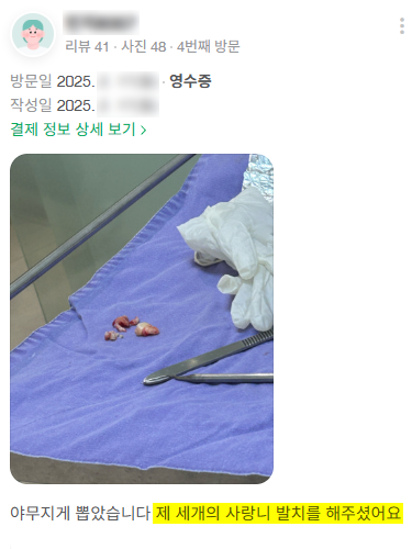 사랑니, 통증 없다고 그냥 둬도 될까? 사랑니의 3가지 사실 / 강남레옹치과 관련 이미지 8