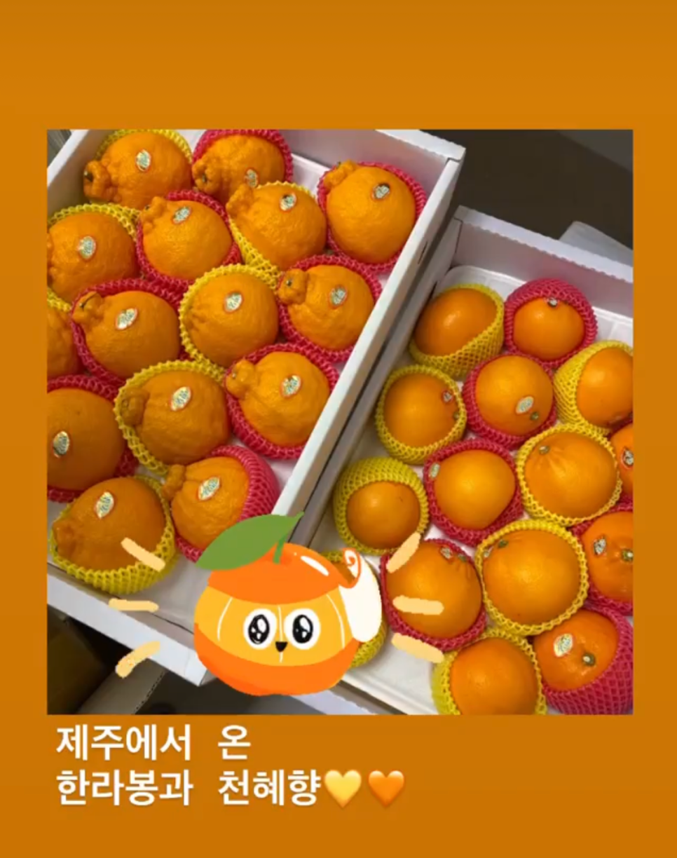 강남레옹치과의 3월 첫주일상 관련 이미지 6