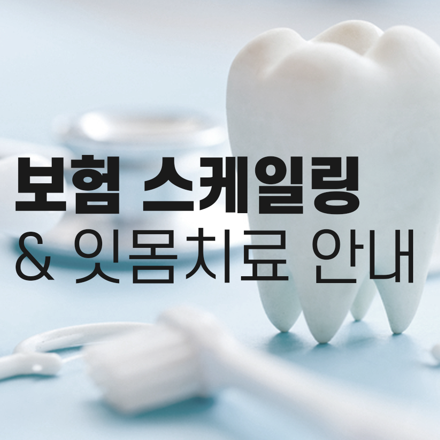 강남역 보험 스케일링, 잇몸치료!! 구강건강 지키는 꿀팁 관련 이미지 1