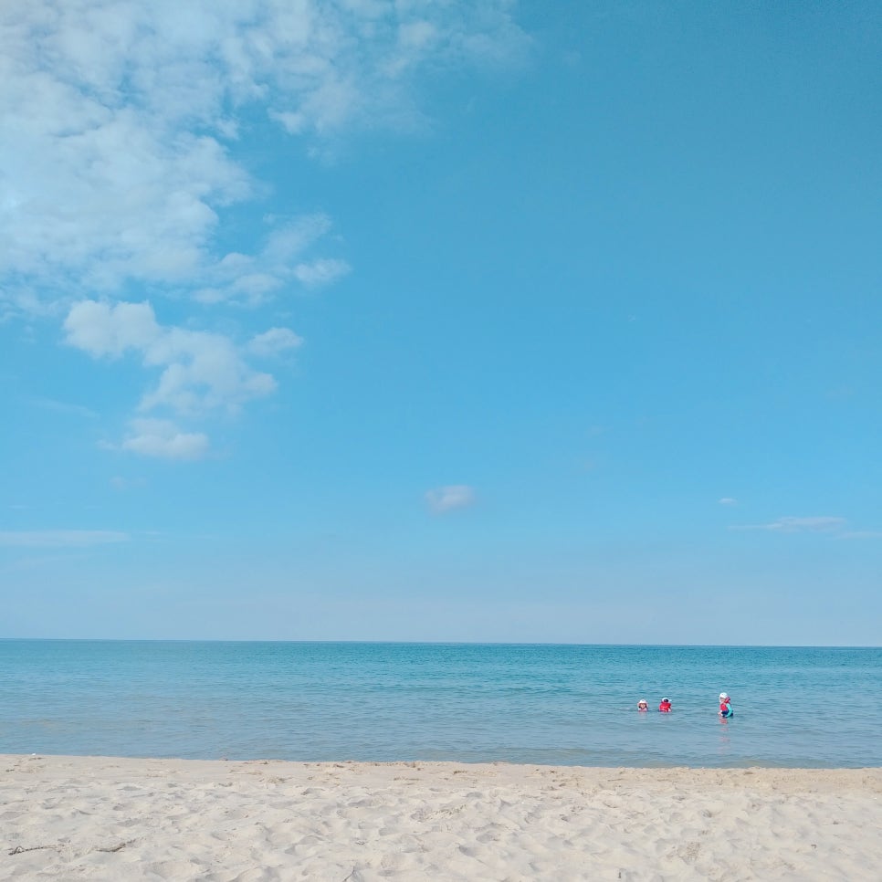 레옹치과 기획팀 뭉쳤어요~! 관련 이미지 3