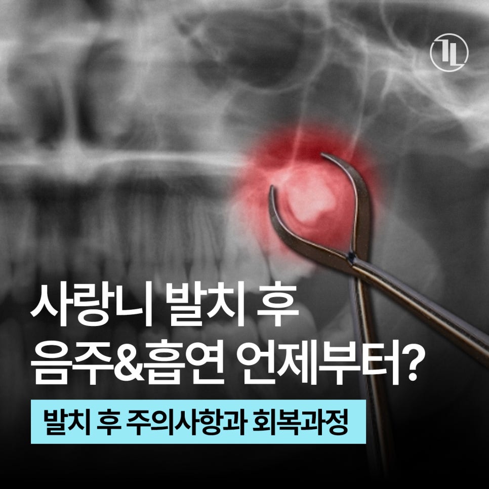 사랑니 발치 후 술&담배 언제 가능? 사랑니 회복 가이드🔖/ 강남레옹치과 관련 이미지 1