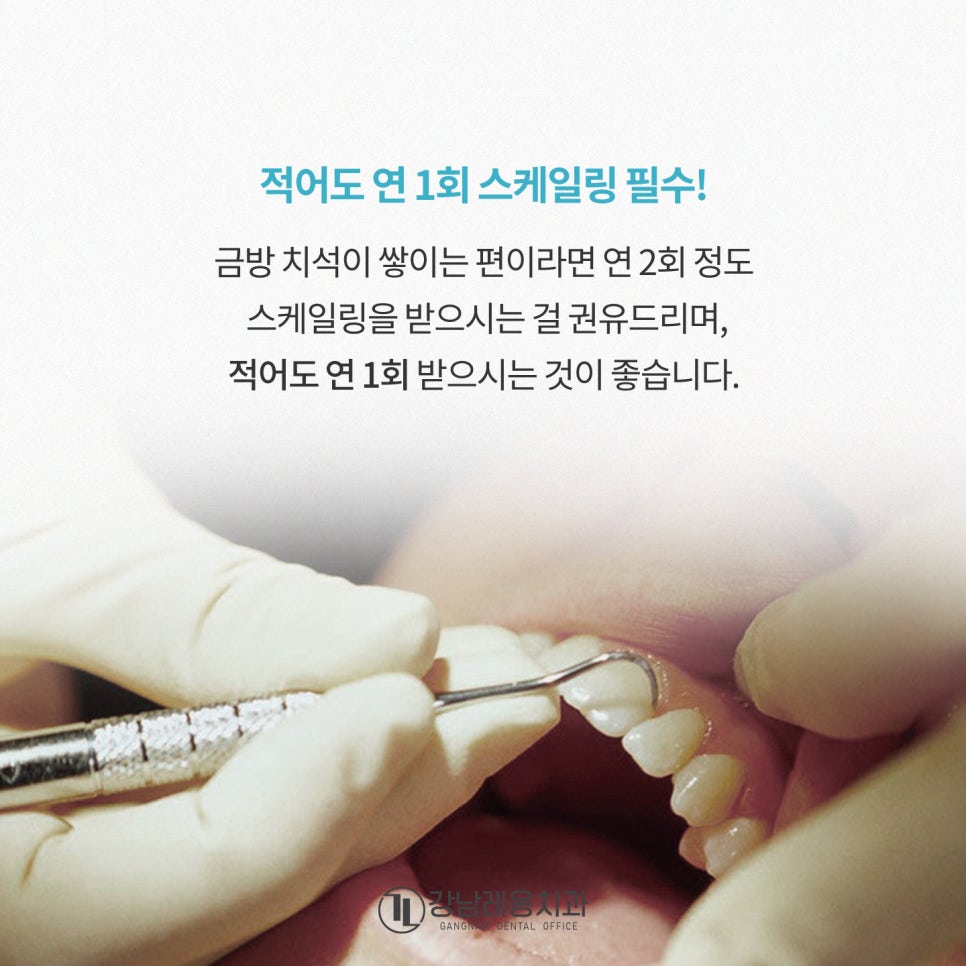 겨울철 구강관리, 스케일링 한 번으로 바뀌는 잇몸 상태❄️ / 강남레옹치과 관련 이미지 9