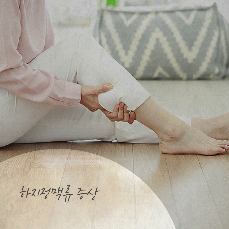 장시간 같은 자세? 하지정맥류 조심해요! 관련 이미지 3