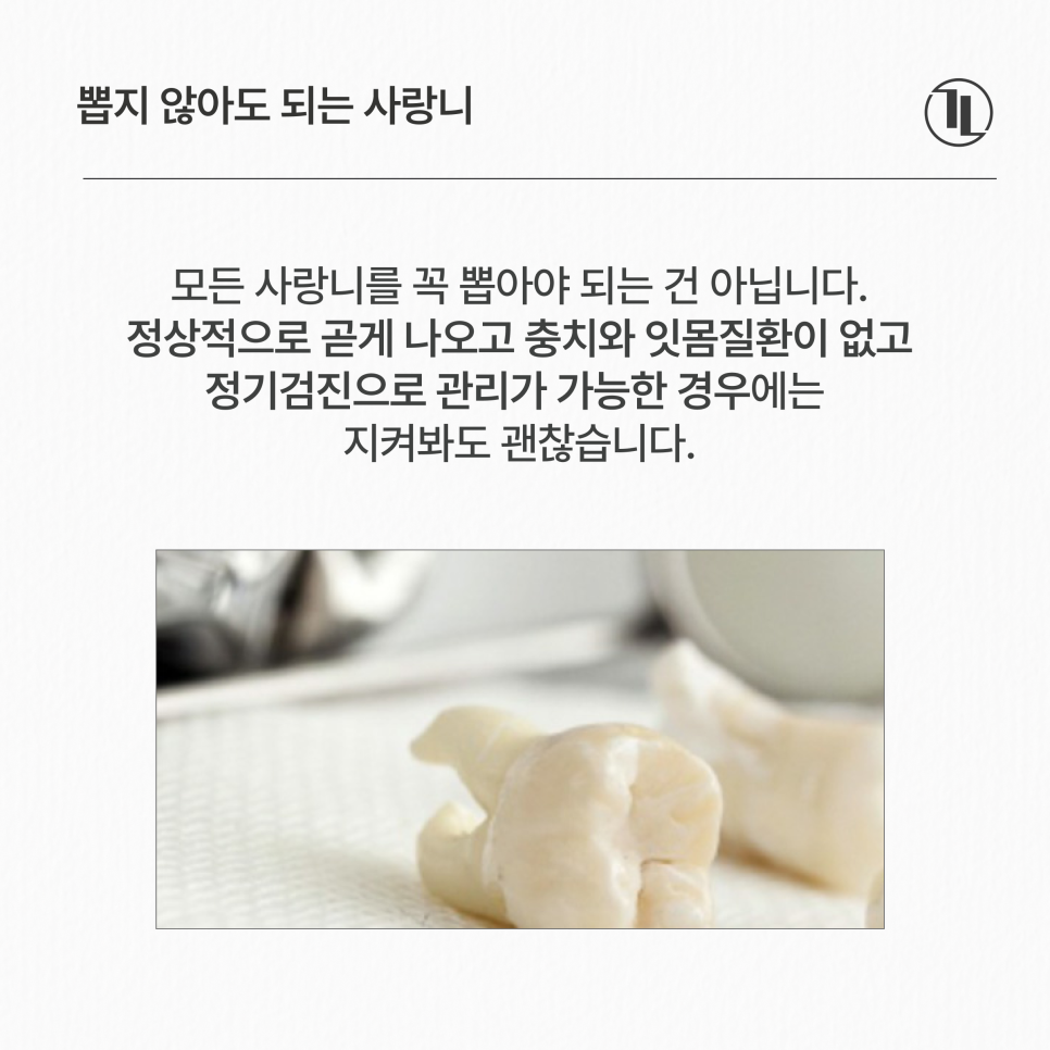 사랑니 안 아픈데 꼭 뽑아야 될까요?발치가 필요한 경우 / 강남레옹치과 관련 이미지 4