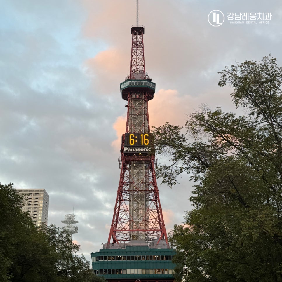 강남레옹치과 2026 우수사원 일본 삿포로 워크샵!! / 일본 여행 관련 이미지 2