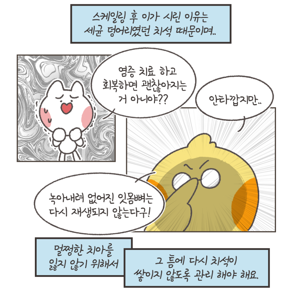 냐폴레옹 치과툰) 스케일링 후 이가 시린 이유가, 치아를 갈아서라고?? 관련 이미지 11