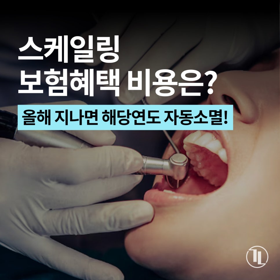 올해 스케일링 아직 안 하셨나요? / 연 1회 스케일링 혜택 비용 / 강남레옹치과 관련 이미지 1