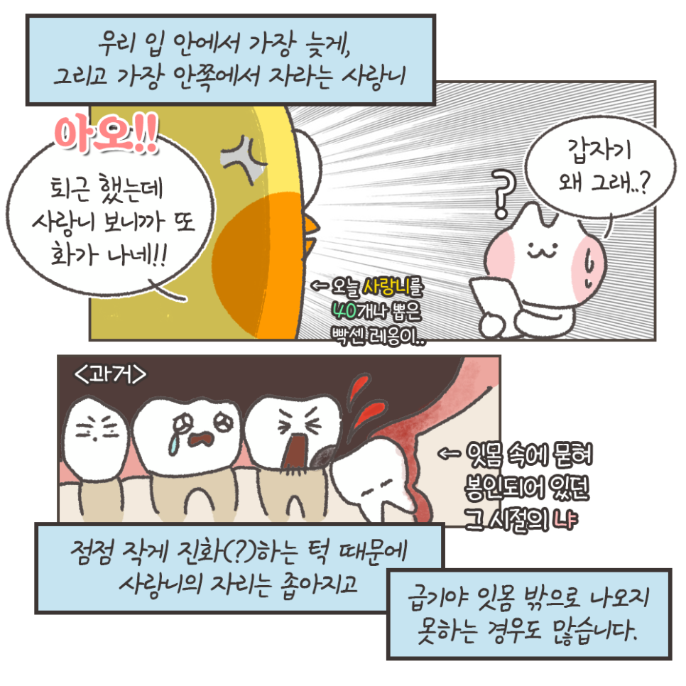 사랑니 안 뽑으면? 묻고 떠블로 가!! (냐폴레옹 치과툰) 관련 이미지 4