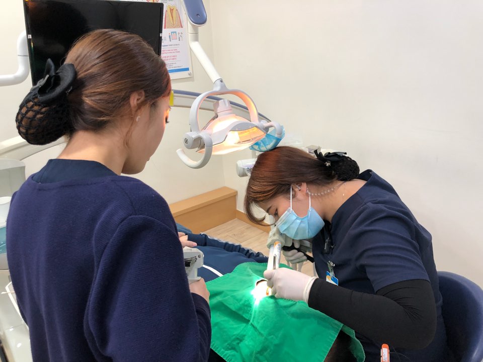 레옹의 평화로운 일상 관련 이미지 3