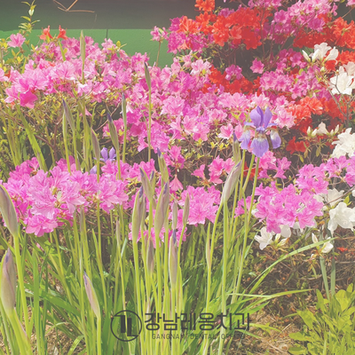 강남레옹치과의 4월, 행복한 일상 관련 이미지 1