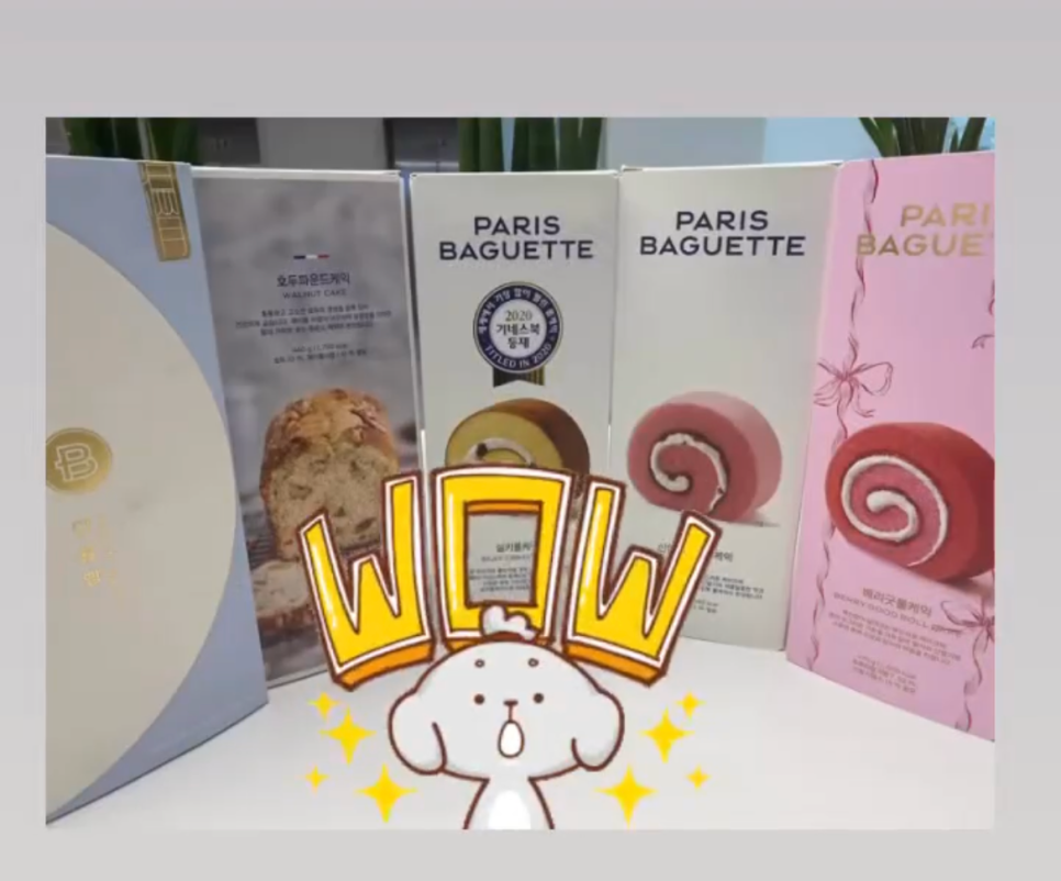 강남레옹치과의 4월, 행복한 일상 관련 이미지 9