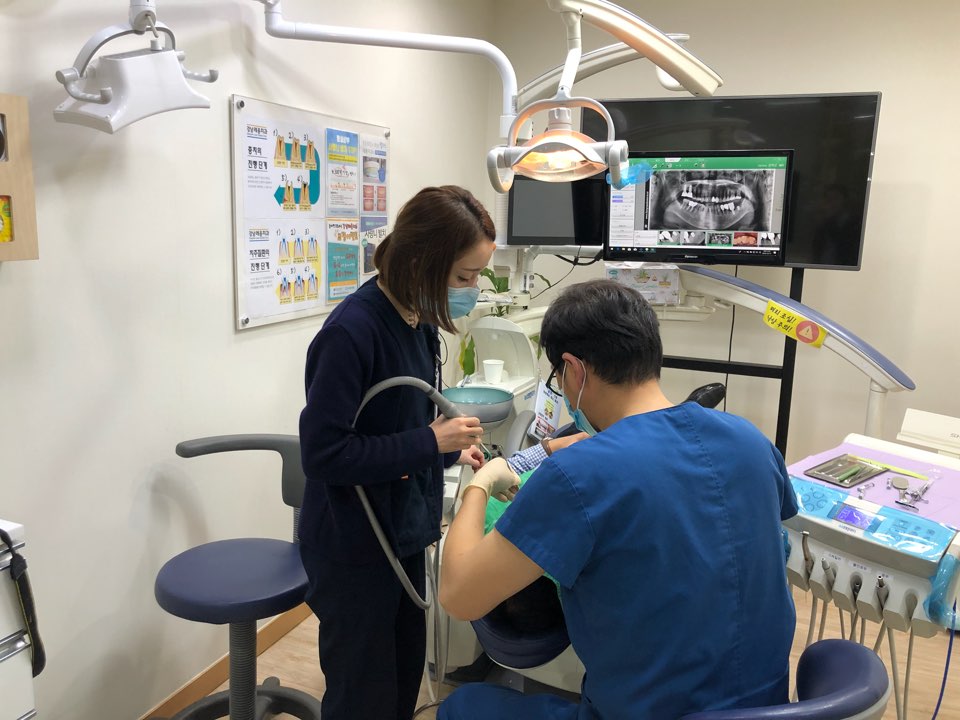 레옹의 평화로운 일상 관련 이미지 1