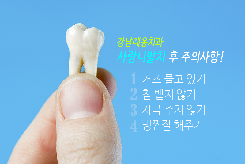 강남사랑니발치 월 500개 이상! 관련 이미지 6