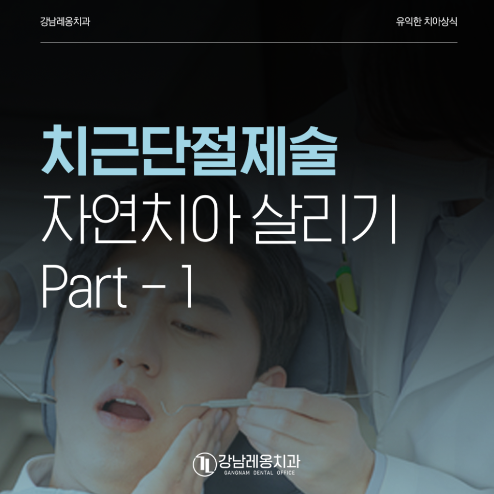 치근단 절제술! 강남레옹치과 자연치아 살리기 최후의 수단 (Part 1) 관련 이미지 1
