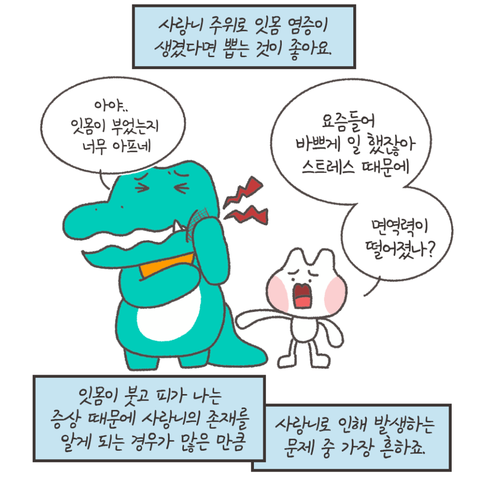 사랑니 안 뽑으면? 묻고 떠블로 가!! (냐폴레옹 치과툰) 관련 이미지 7