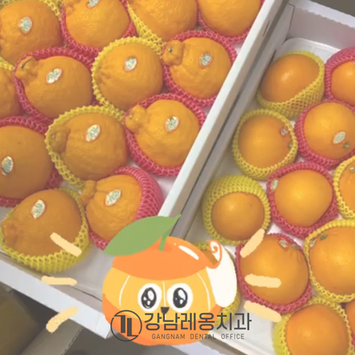 강남레옹치과의 3월 첫주일상 관련 이미지 1