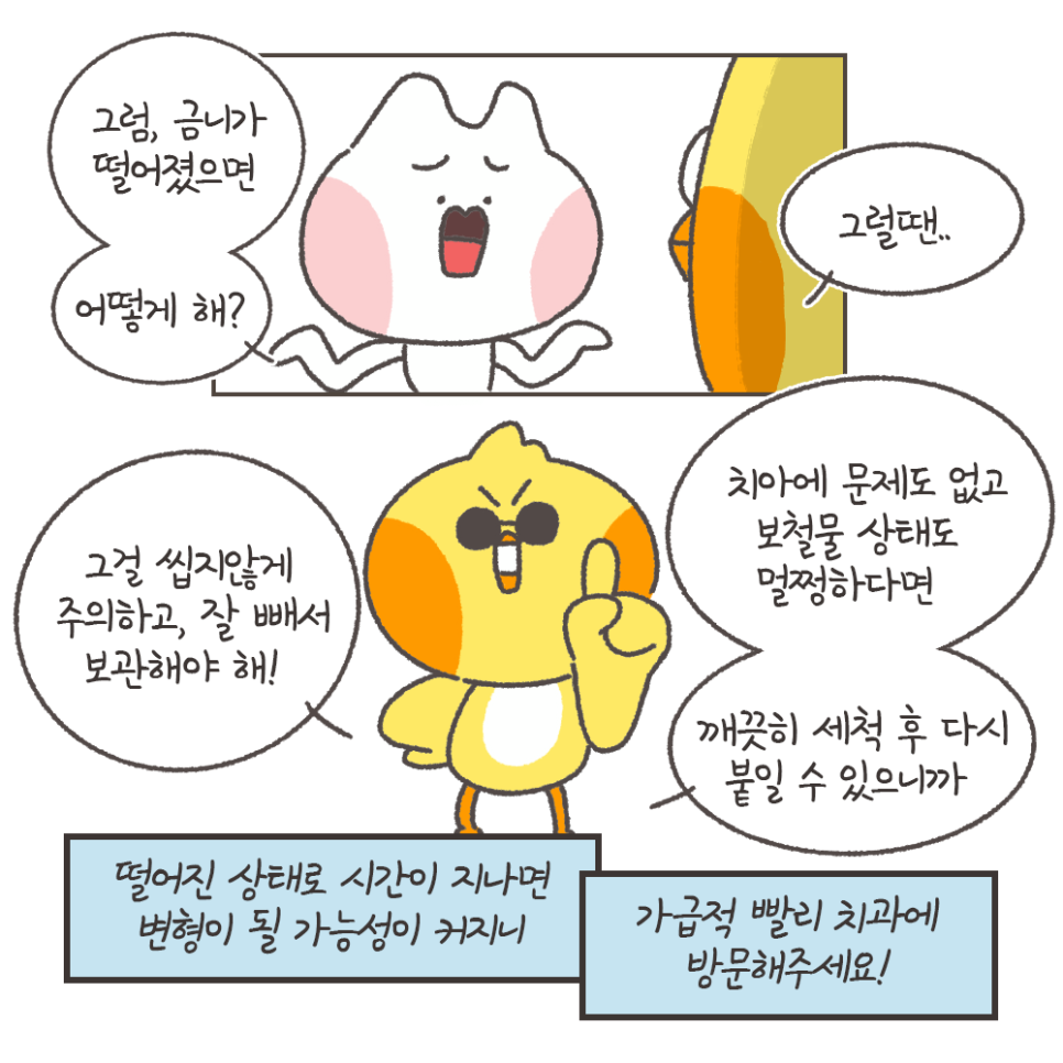 떨어진 금니 다시 붙일 수 있을까? - 보철물 탈락 이유, 대처법 (냐폴레옹 치과툰) 관련 이미지 9