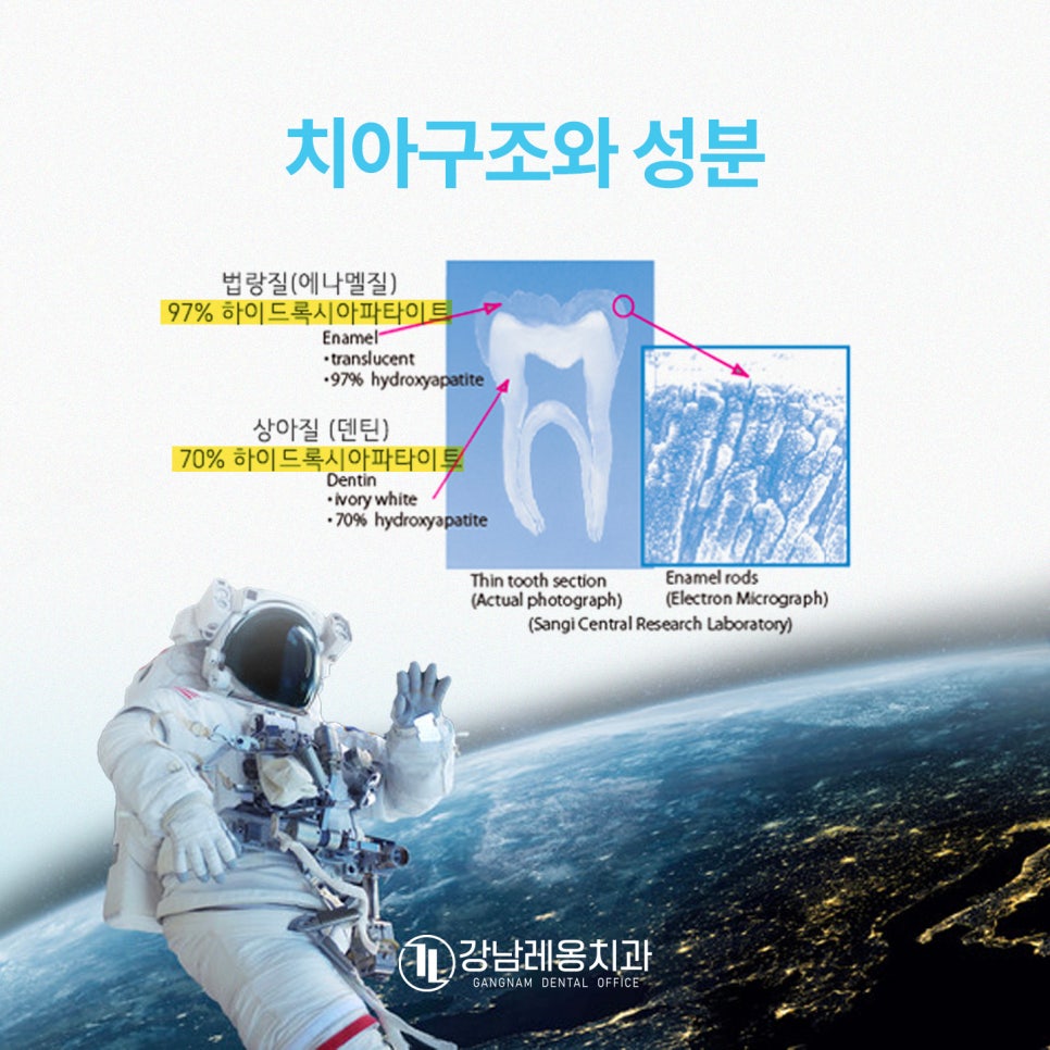치아성분 치아영양제 아파프로로 약해진 치아관리! / 강남레옹치과 관련 이미지 2