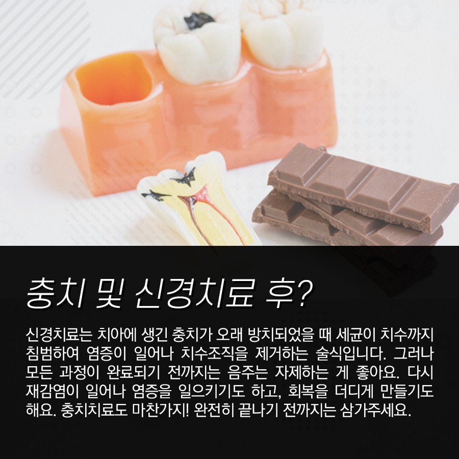 강남레옹치과 진료 후 술 마셔도 될까요? (충치 / 사랑니발치 / 잇몸 / 신경치료 등) 관련 이미지 2