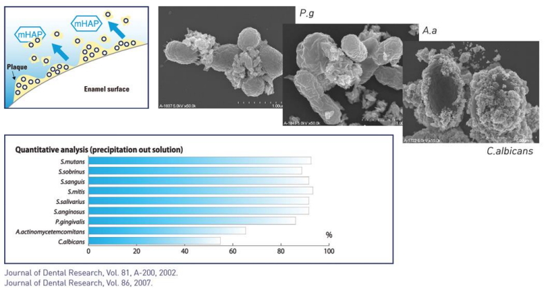 충치예방부터 시린이 완화까지! 아파프로 치아영양제의 5가지 효과✨ / 강남레옹치과 관련 이미지 4