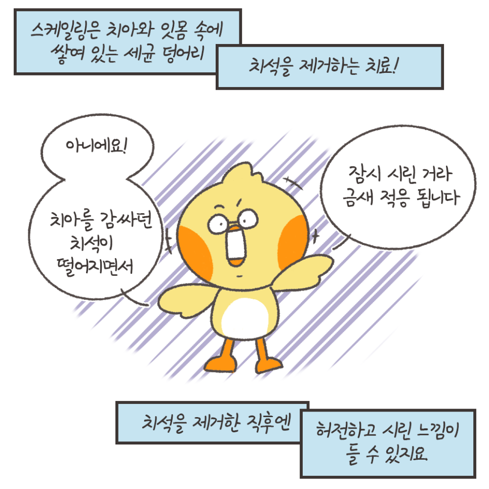 냐폴레옹 치과툰) 스케일링 후 이가 시린 이유가, 치아를 갈아서라고?? 관련 이미지 6