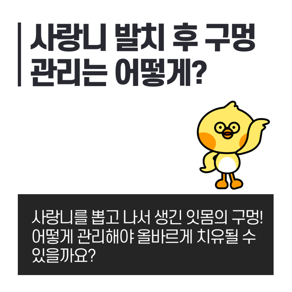 사랑니 발치 후 구멍 제대로 치유되려면 음식물 안 끼게 관리! 관련 이미지 1