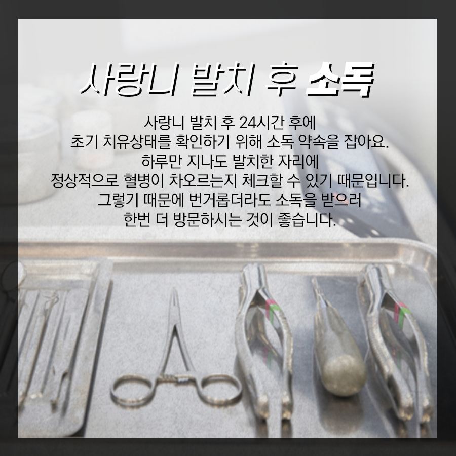 사랑니 발치 후 통증 발생? 원인과 대처법 알려드려요. 관련 이미지 3