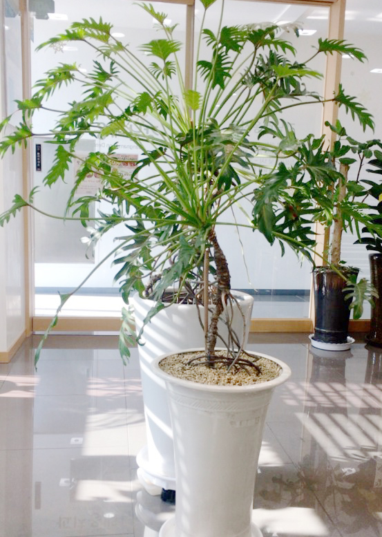 강남레옹치과의 철학은 바른생각 그리고 소통! 관련 이미지 8