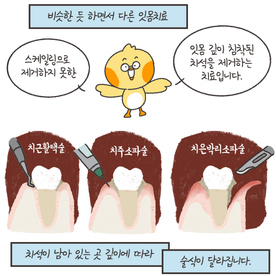 냐폴레옹 치과툰) 발치 위험을 막아주는데 보험도 되는, 갓성비 치과진료가 있다? 관련 이미지 8