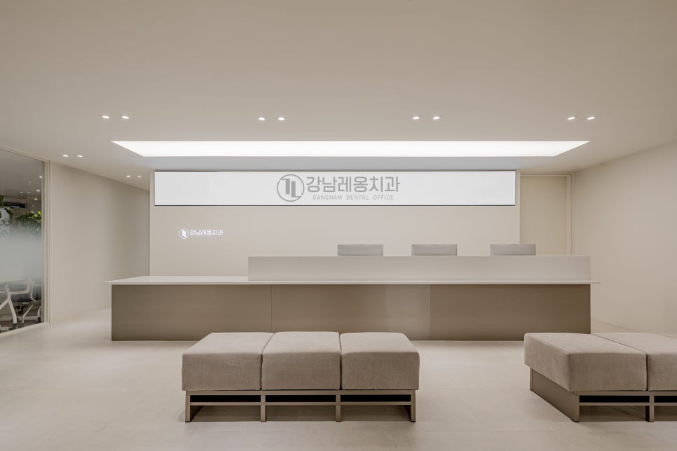 강남역 스케일링 맛집 / 치석 제거와 잇몸 건강의 핵심! / 핸드 스케일링 강남레옹치과 관련 이미지 19