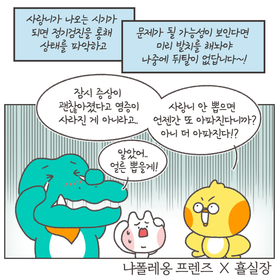 사랑니 발치 이유!! 최악의 경우 이렇게까지 된다..? (냐폴레옹툰 7화) 관련 이미지 12