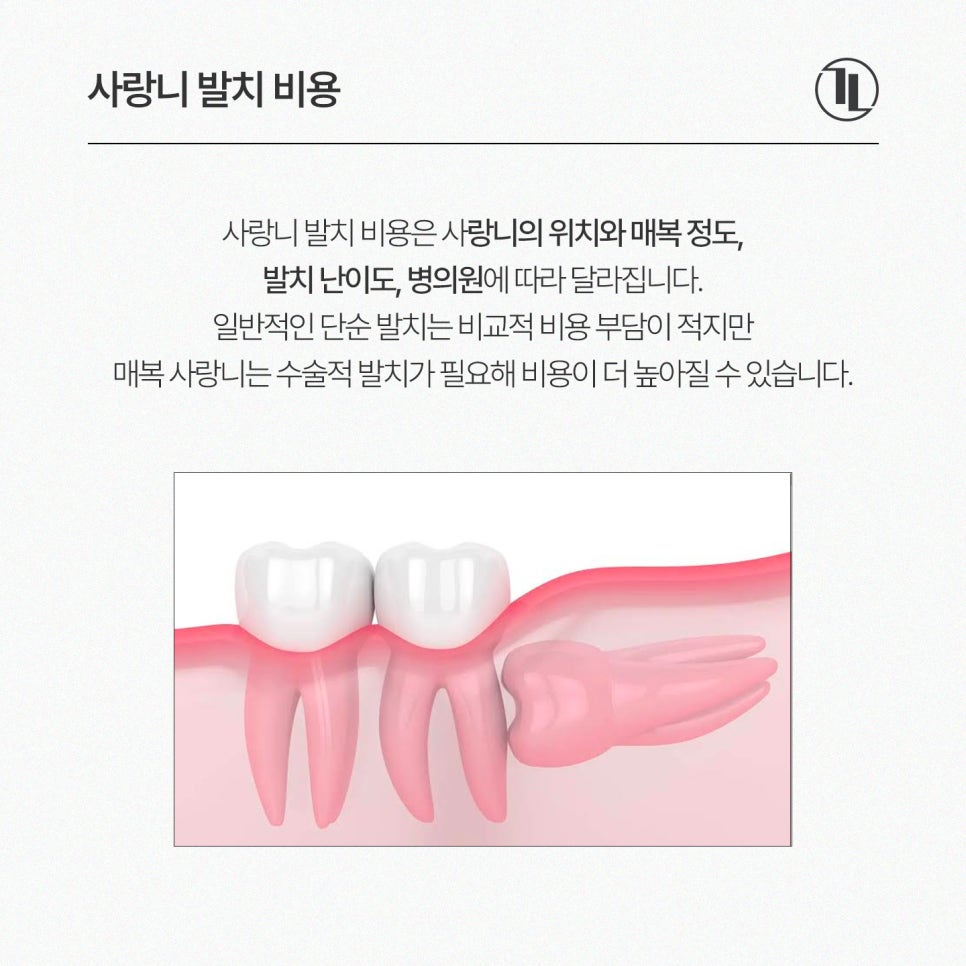 사랑니 발치 후 실비보험 청구 가이드 / 강남레옹치과 관련 이미지 2