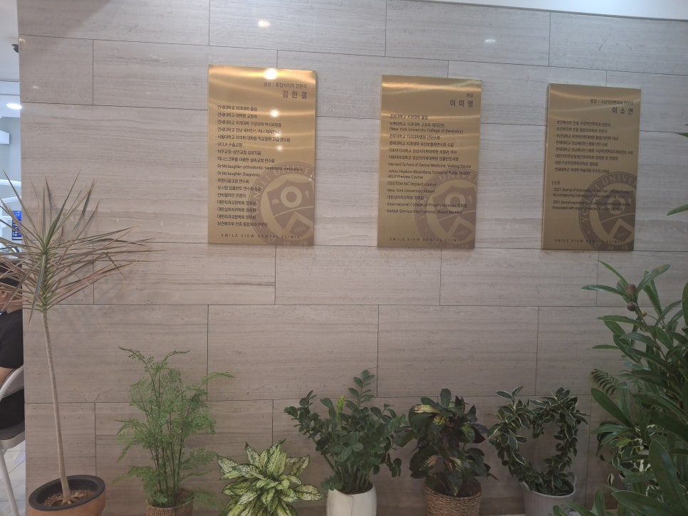 Recommended Teeth Whitening Before Chuseok! SmileView Dental Clinic at Sinnonhyeon Station image 3