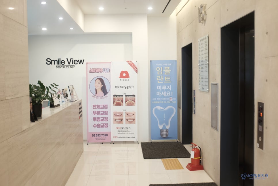 신논현역 치아 스케일링 언제 하는게 좋을까요? 관련 이미지 4