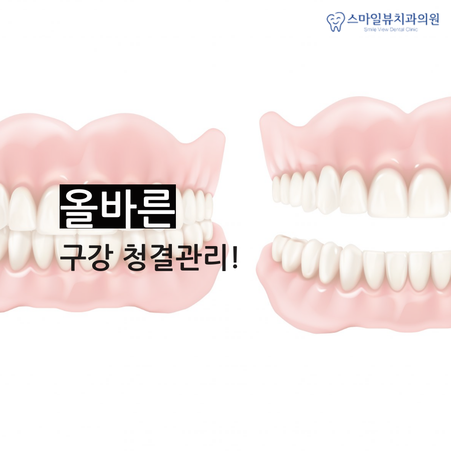 강남치과앞니충치 영구치를 보호해요! 관련 이미지 3