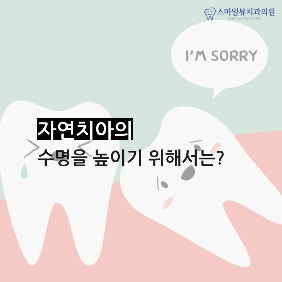 역삼동치아크라운 신경으로 가기 전에 관련 이미지 4