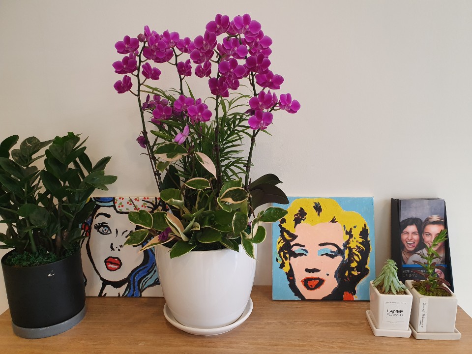 신논현역치과  치아교정시 발생할 수 있는 문제점? 관련 이미지 1