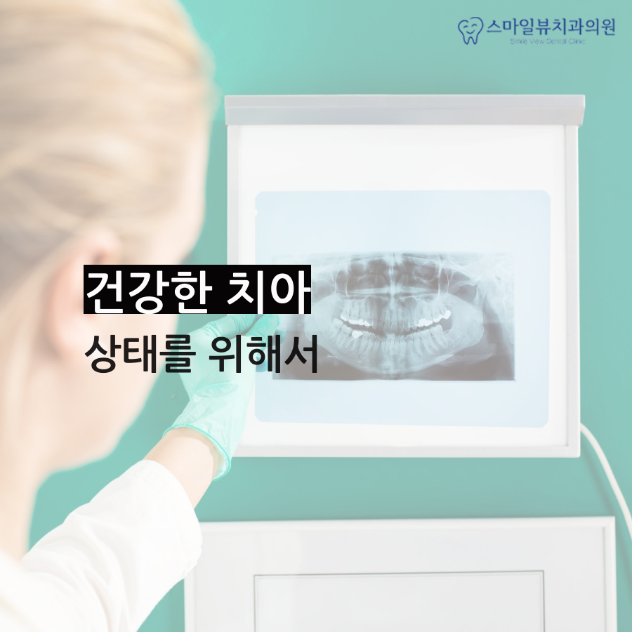 신논현역설측교정치과 건강한 잇몸과 치아 관련 이미지 2