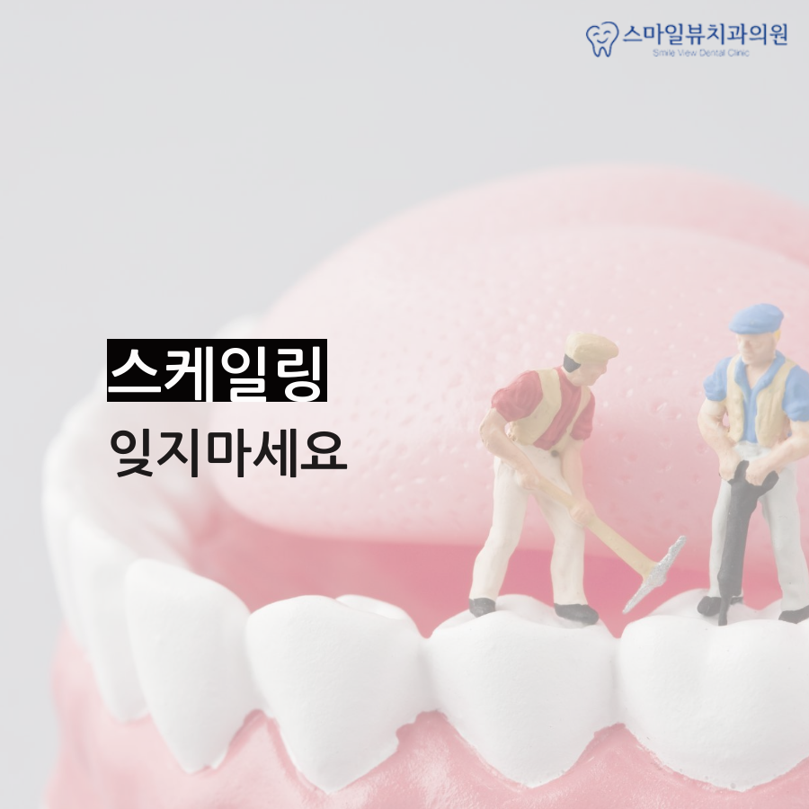 강남역치과치통 빠르게 치료해요 관련 이미지 5