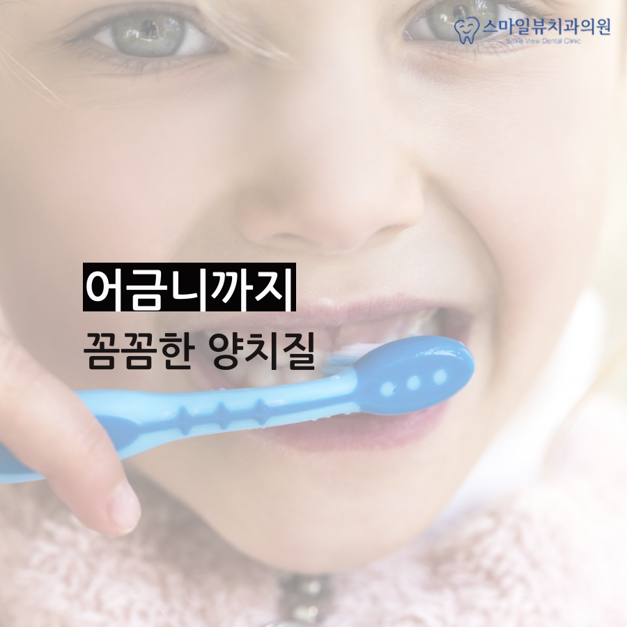 강남소아치과 정기적으로 검사해요! 관련 이미지 2