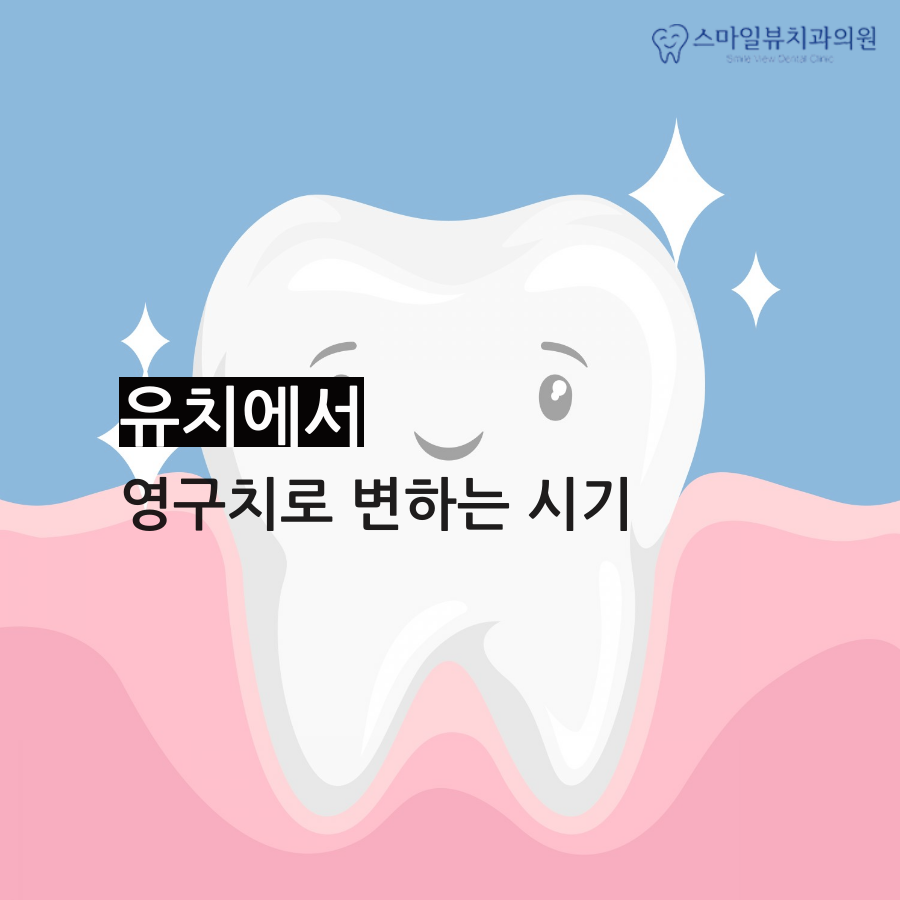 강남치과앞니충치 영구치를 보호해요! 관련 이미지 2