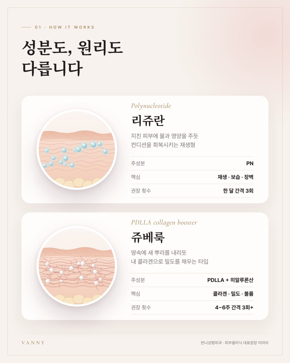 리쥬란 쥬베룩 차이, 상담실에서 먼저 여쭤보는 질문 3가지 관련 이미지 2