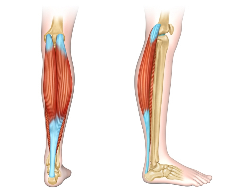 What Is a Dermatology Clinic That Does Great Calf and Trapezius Botox, Hyperhidrosis Botox, and Fat-Dissolving Injections for Body Care in Gangnam? (+Event) image 4
