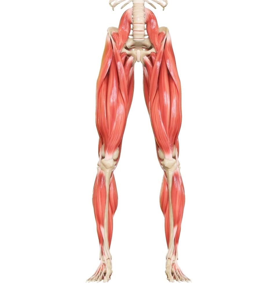 The Truth About Wegovy Yo-Yo Weight Gain and How to Deal With It: An Honest View From a Prescribing Clinic Medical Team image 12