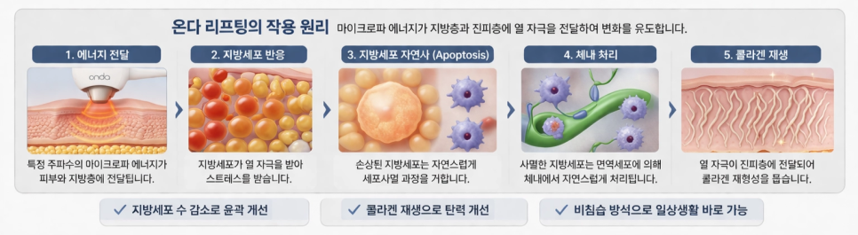강남 온다 리프팅 망하는 가장 흔한 이유, 온다 리프팅 문의 하루 30건 받는 강남 피부과 원장이 솔직하게 말씀드립니다. 관련 이미지 27